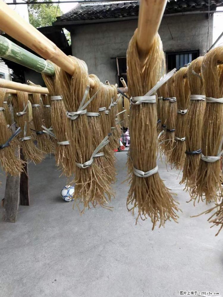 【灌阳正宗红薯粉】美女家里自己做的，干净卫生，假一赔十，价格合理，抢购电话：13737312895 - 美食天地 - 阿拉善盟生活社区 - 阿拉善盟28生活网 alsm.28life.net