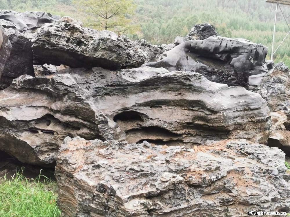风景石、假山石大量有货，有需要的欢迎联系 - 新手上路 - 阿拉善盟生活社区 - 阿拉善盟28生活网 alsm.28life.net
