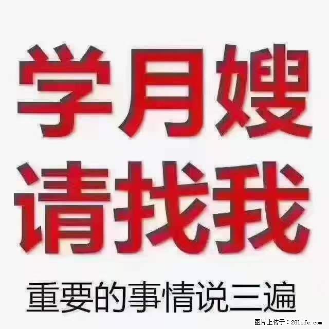 为什么要学习月嫂，育婴师？ - 新手上路 - 阿拉善盟生活社区 - 阿拉善盟28生活网 alsm.28life.net