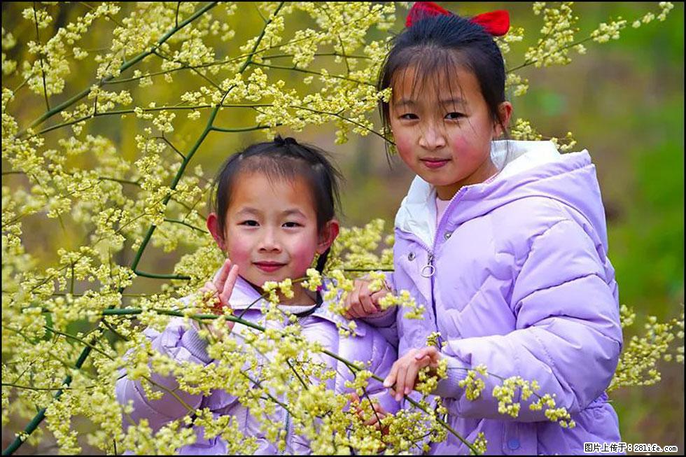 【春天，广西桂林灌阳县向您发出邀请！】米珠山前有片山苍子花在飘香 - 游山玩水 - 阿拉善盟生活社区 - 阿拉善盟28生活网 alsm.28life.net