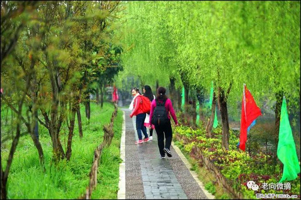 【春天，广西桂林灌阳县向您发出邀请！】江口老街又逢春 - 游山玩水 - 阿拉善盟生活社区 - 阿拉善盟28生活网 alsm.28life.net