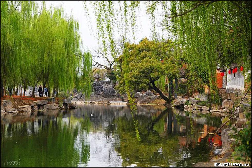 【春天，广西桂林灌阳县向您发出邀请！】江口老街又逢春 - 游山玩水 - 阿拉善盟生活社区 - 阿拉善盟28生活网 alsm.28life.net