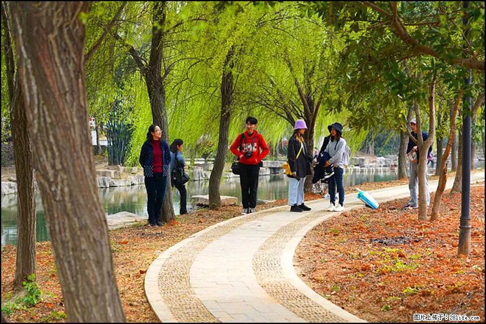 【春天，广西桂林灌阳县向您发出邀请！】江口老街又逢春 - 游山玩水 - 阿拉善盟生活社区 - 阿拉善盟28生活网 alsm.28life.net