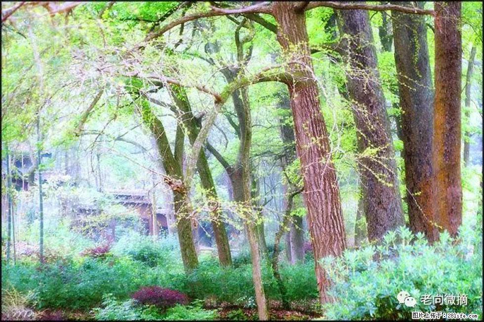 【春天，广西桂林灌阳县向您发出邀请！】在小龙村与春天约会 - 游山玩水 - 阿拉善盟生活社区 - 阿拉善盟28生活网 alsm.28life.net
