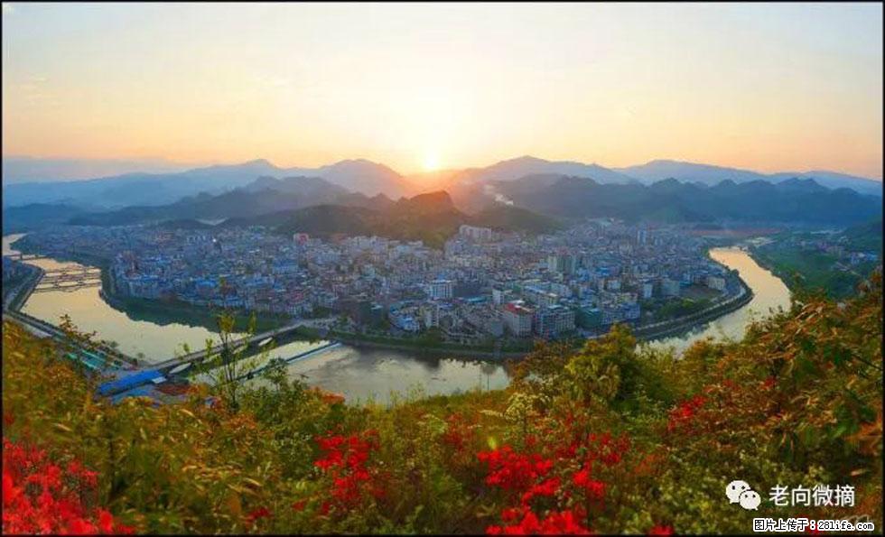 【春天，广西桂林灌阳县向您发出邀请！】登麒麟山，相约映山红 - 游山玩水 - 阿拉善盟生活社区 - 阿拉善盟28生活网 alsm.28life.net