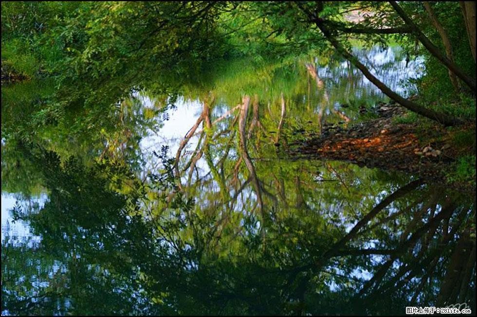 【春天，广西桂林灌阳县向您发出邀请！】熊家寨湿地公园 - 游山玩水 - 阿拉善盟生活社区 - 阿拉善盟28生活网 alsm.28life.net