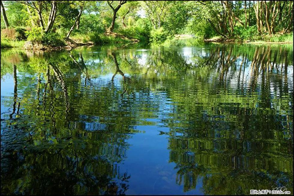 【春天，广西桂林灌阳县向您发出邀请！】熊家寨湿地公园 - 游山玩水 - 阿拉善盟生活社区 - 阿拉善盟28生活网 alsm.28life.net