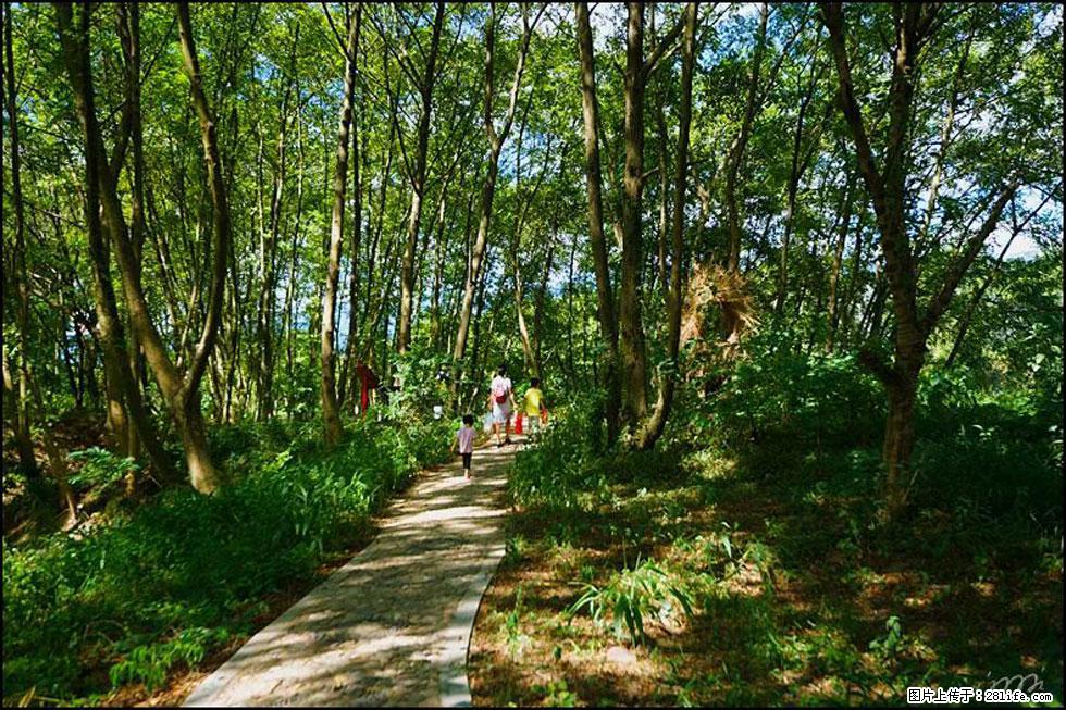 【春天，广西桂林灌阳县向您发出邀请！】熊家寨湿地公园 - 游山玩水 - 阿拉善盟生活社区 - 阿拉善盟28生活网 alsm.28life.net