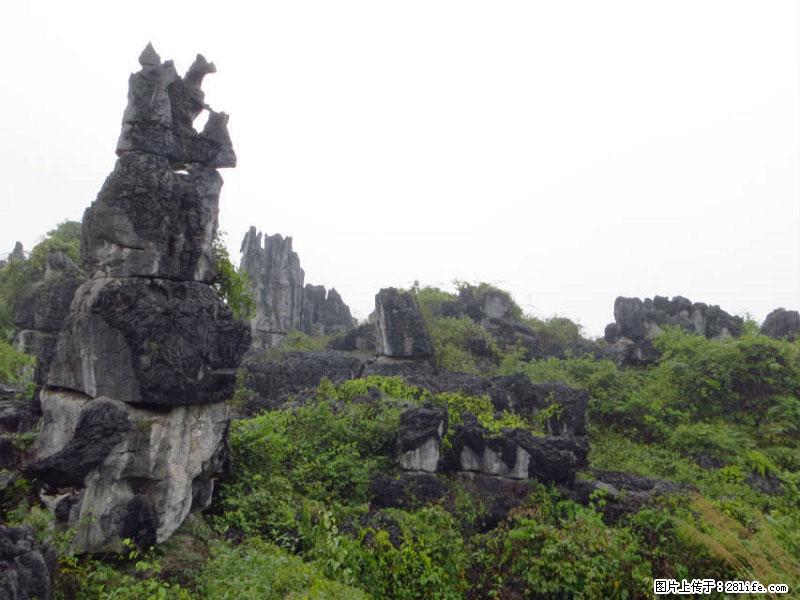 桂林旅游名城景点：灌阳文市石林 - 游山玩水 - 阿拉善盟生活社区 - 阿拉善盟28生活网 alsm.28life.net