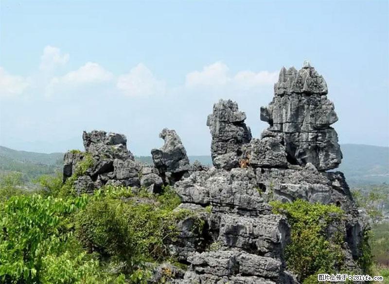桂林旅游名城景点：灌阳文市石林 - 游山玩水 - 阿拉善盟生活社区 - 阿拉善盟28生活网 alsm.28life.net