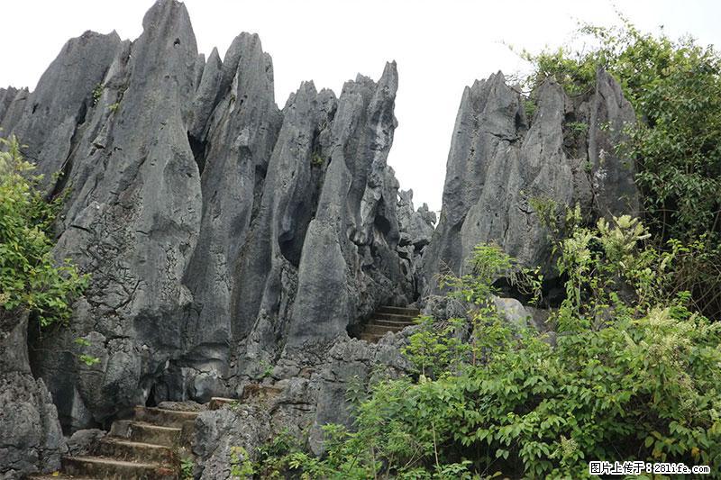 桂林旅游名城景点：灌阳文市石林 - 游山玩水 - 阿拉善盟生活社区 - 阿拉善盟28生活网 alsm.28life.net