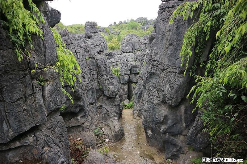 桂林旅游名城景点：灌阳文市石林 - 游山玩水 - 阿拉善盟生活社区 - 阿拉善盟28生活网 alsm.28life.net