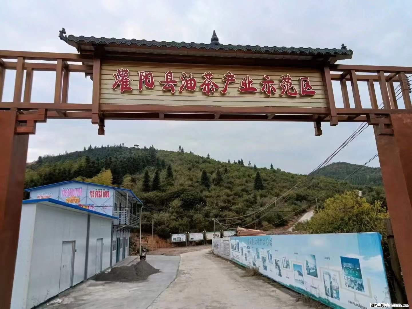 【灌阳县油茶产业示范区】一个有着充实的精神生活的人，对待身外之物自会有一种淡泊的态度 - 美食天地 - 阿拉善盟生活社区 - 阿拉善盟28生活网 alsm.28life.net
