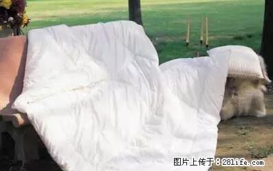 被子有异味？只要这样做，比晒太阳还强100倍！ - 家居生活 - 阿拉善盟生活社区 - 阿拉善盟28生活网 alsm.28life.net