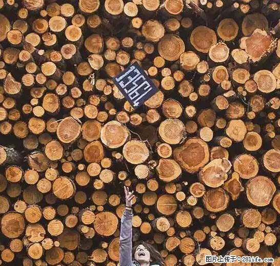 辞掉工作周游世界？现在他们在洗厕所…… - 游山玩水 - 阿拉善盟生活社区 - 阿拉善盟28生活网 alsm.28life.net