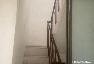 (单间出租)新兴农贸市场里面 3室1厅1卫 限女生 - 阿拉善盟28生活网 alsm.28life.net