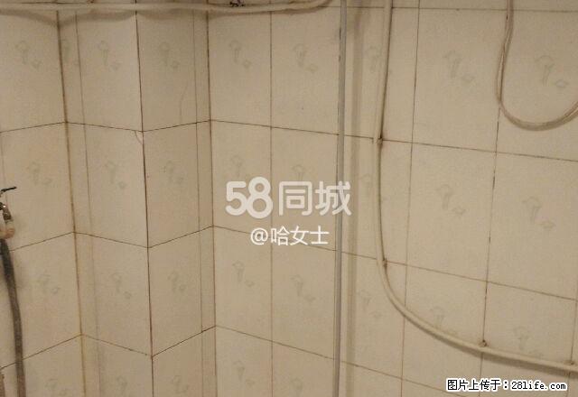 上前城康居南区 2室1厅1卫 - 房屋出租 - 房屋租售 - 阿拉善盟分类信息 - 阿拉善盟28生活网 alsm.28life.net