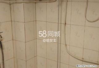 上前城康居南区 2室1厅1卫 - 阿拉善盟28生活网 alsm.28life.net