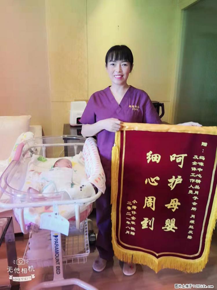 上海高端月子会所招新手月嫂，零基础带教，包吃住 - 职场交流 - 阿拉善盟生活社区 - 阿拉善盟28生活网 alsm.28life.net