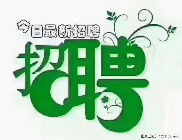 【招聘摄像师】待遇：试用期6000元/月，转正7000元/月+五险一金+餐补+节日福利+奖金 - 其他招聘信息 - 招聘求职 - 阿拉善盟分类信息 - 阿拉善盟28生活网 alsm.28life.net