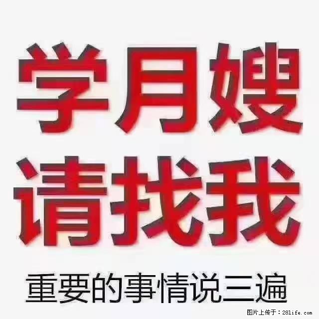 【招聘】月嫂，上海徐汇区 - 职场交流 - 阿拉善盟生活社区 - 阿拉善盟28生活网 alsm.28life.net