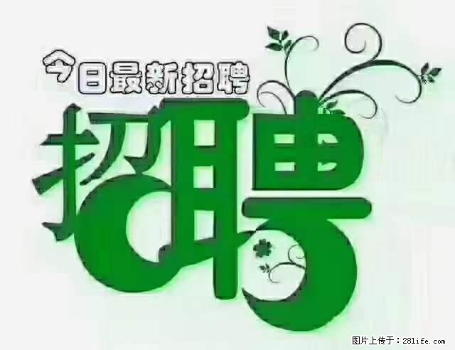 上海隔离酒店招人：55岁以下 男女不限 - 职场交流 - 阿拉善盟生活社区 - 阿拉善盟28生活网 alsm.28life.net