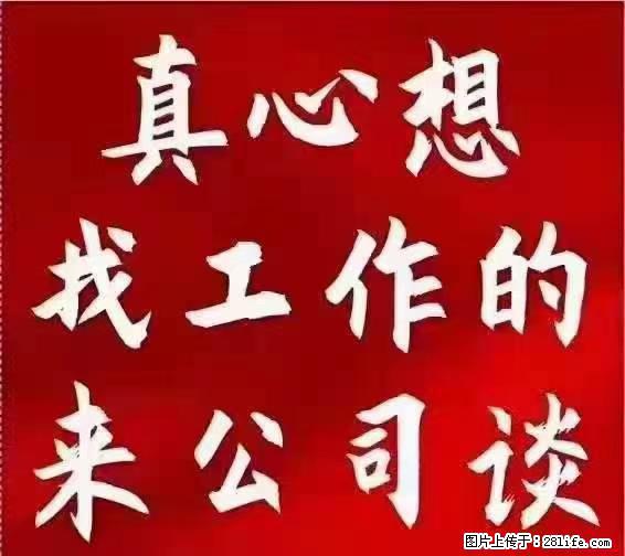 【上海】国企，医院招两名男保安，55岁以下，身高1.7米以上，无犯罪记录不良嗜好 - 职场交流 - 阿拉善盟生活社区 - 阿拉善盟28生活网 alsm.28life.net