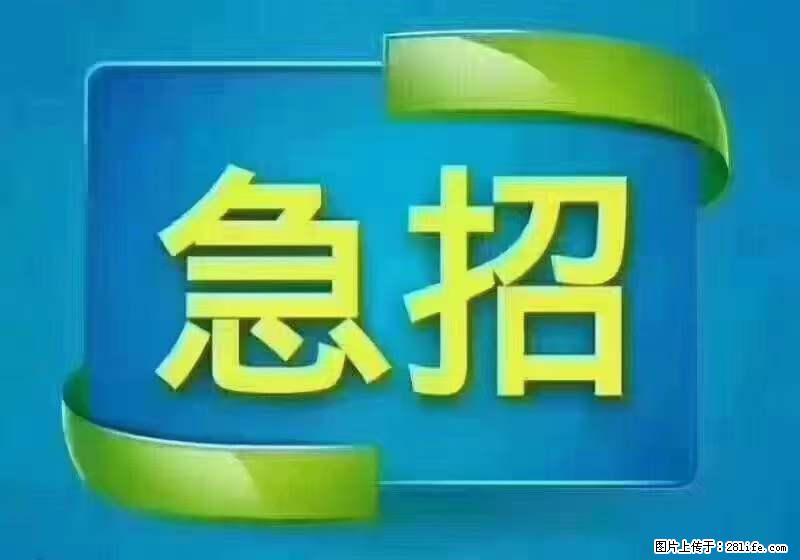 招财务，有会计证的，熟手会计1.1万底薪，上海五险一金，包住，包工作餐，做六休一 - 职场交流 - 阿拉善盟生活社区 - 阿拉善盟28生活网 alsm.28life.net