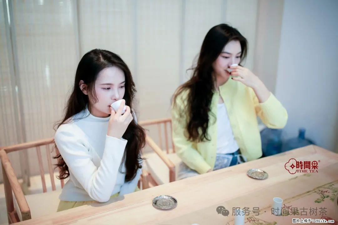 时间果百年古树龙珠普洱生茶 - 购物交流 - 阿拉善盟生活社区 - 阿拉善盟28生活网 alsm.28life.net