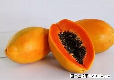 晕车、脚气、牙齿变黄、皮肤粗糙？学会这些三分钟搞定！ - 阿拉善盟生活资讯 - 阿拉善盟28生活网 alsm.28life.net