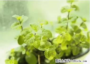 晕车、脚气、牙齿变黄、皮肤粗糙？学会这些三分钟搞定！ - 阿拉善盟生活资讯 - 阿拉善盟28生活网 alsm.28life.net