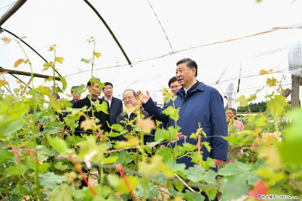 习近平赴广西考察调研 - 阿拉善盟生活资讯 - 阿拉善盟28生活网 alsm.28life.net