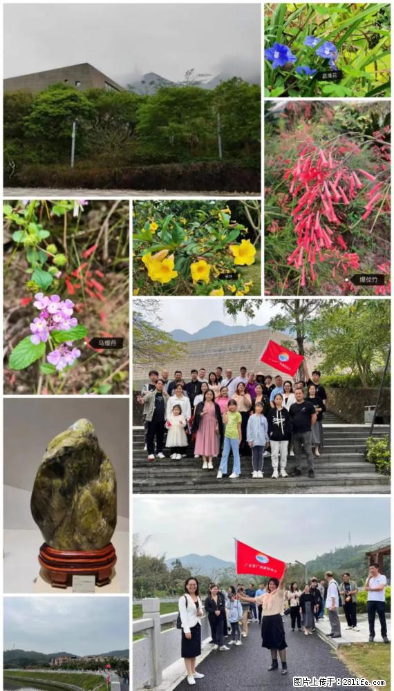 “粤灌文化 美好生活”油茶文化主题活动在广东深圳成功举办 - 阿拉善盟生活资讯 - 阿拉善盟28生活网 alsm.28life.net