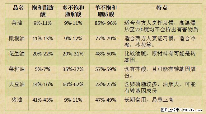 揭秘茶油的5大核心营养成分！被称为人体健康的“守护盾”！ - 阿拉善盟生活资讯 - 阿拉善盟28生活网 alsm.28life.net