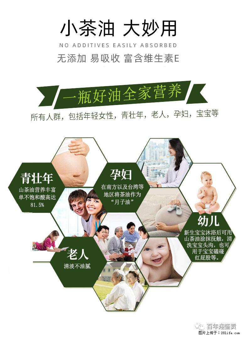 世界没有真相，只有认知，最好的食用油是中国的山茶油！ - 阿拉善盟生活资讯 - 阿拉善盟28生活网 alsm.28life.net
