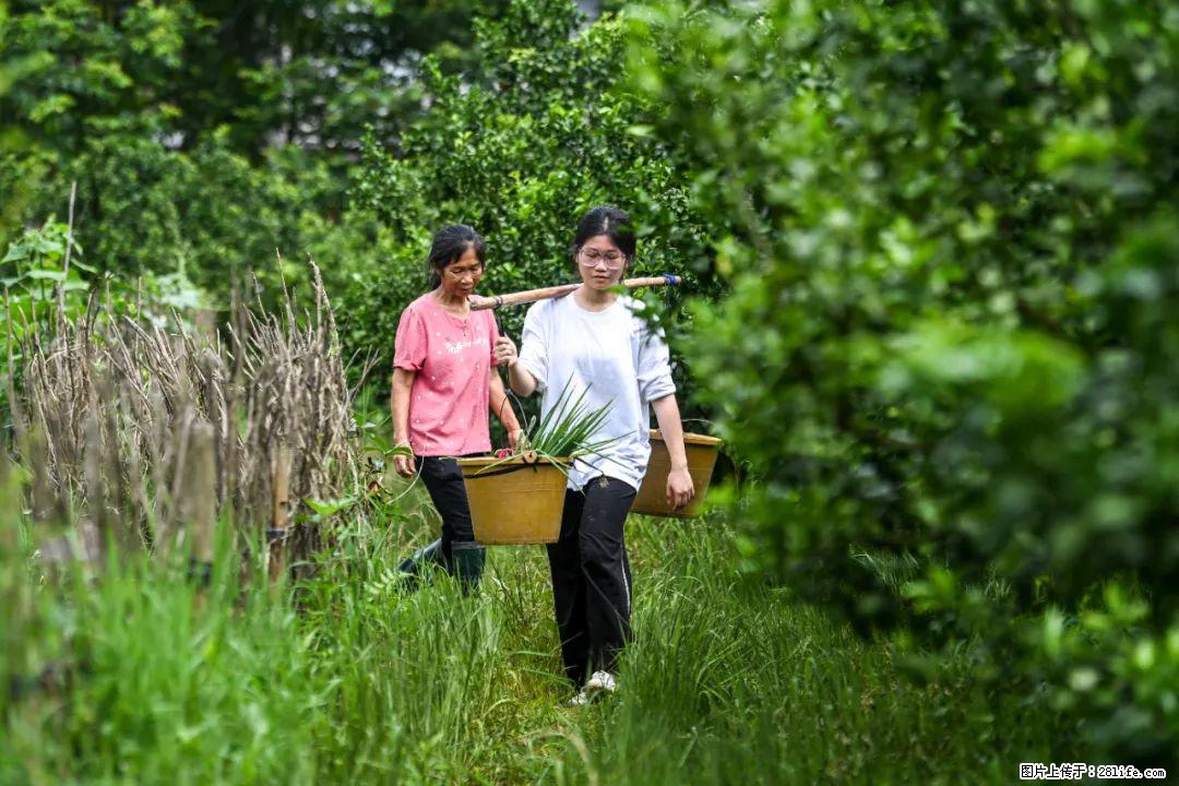 全网追的“扁担女孩”，找了一份暑假工，时薪12元 - 阿拉善盟生活资讯 - 阿拉善盟28生活网 alsm.28life.net