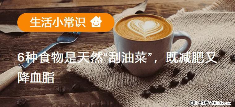 【生活小常识】6种食物是天然“刮油菜”，既减肥又降血脂 - 阿拉善盟生活资讯 - 阿拉善盟28生活网 alsm.28life.net