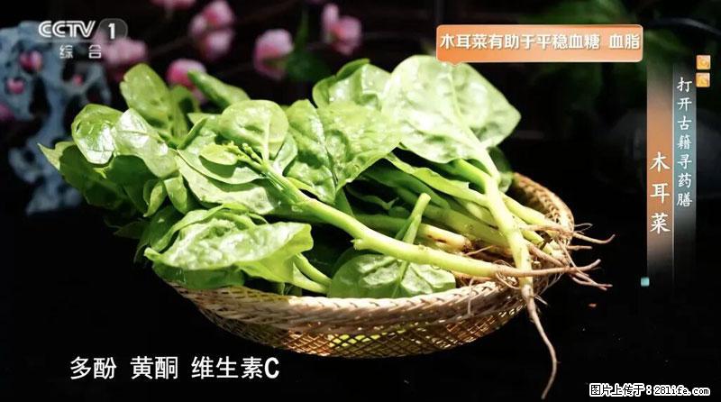 比牛奶补钙还厉害！凉血解毒、稳血糖...这菜冬天必吃，很多人却当草 - 阿拉善盟生活资讯 - 阿拉善盟28生活网 alsm.28life.net