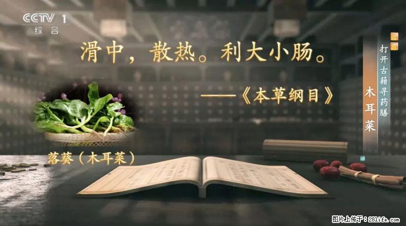 比牛奶补钙还厉害！凉血解毒、稳血糖...这菜冬天必吃，很多人却当草 - 阿拉善盟生活资讯 - 阿拉善盟28生活网 alsm.28life.net