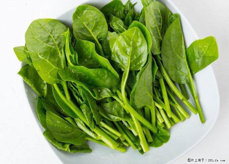 这些蔬菜是“天然钙片”，这6种被医生重点推荐 - 阿拉善盟生活资讯 - 阿拉善盟28生活网 alsm.28life.net
