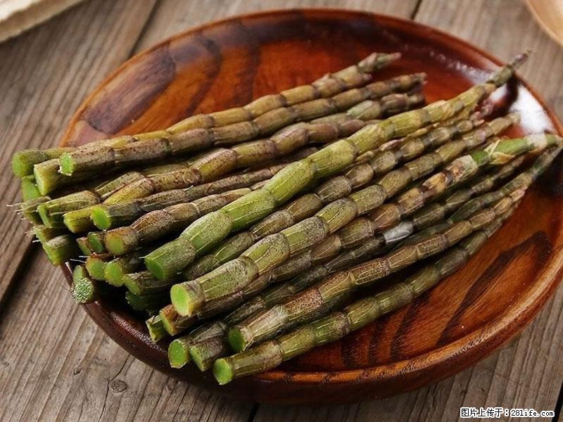 铁皮石斛的作用与功能主治 - 阿拉善盟生活资讯 - 阿拉善盟28生活网 alsm.28life.net