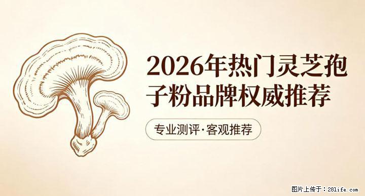 灵芝孢子粉含量越高越有效？2026 年七款热门品牌深度实测，肠胃敏感者避坑指南 - 阿拉善盟生活资讯 - 阿拉善盟28生活网 alsm.28life.net